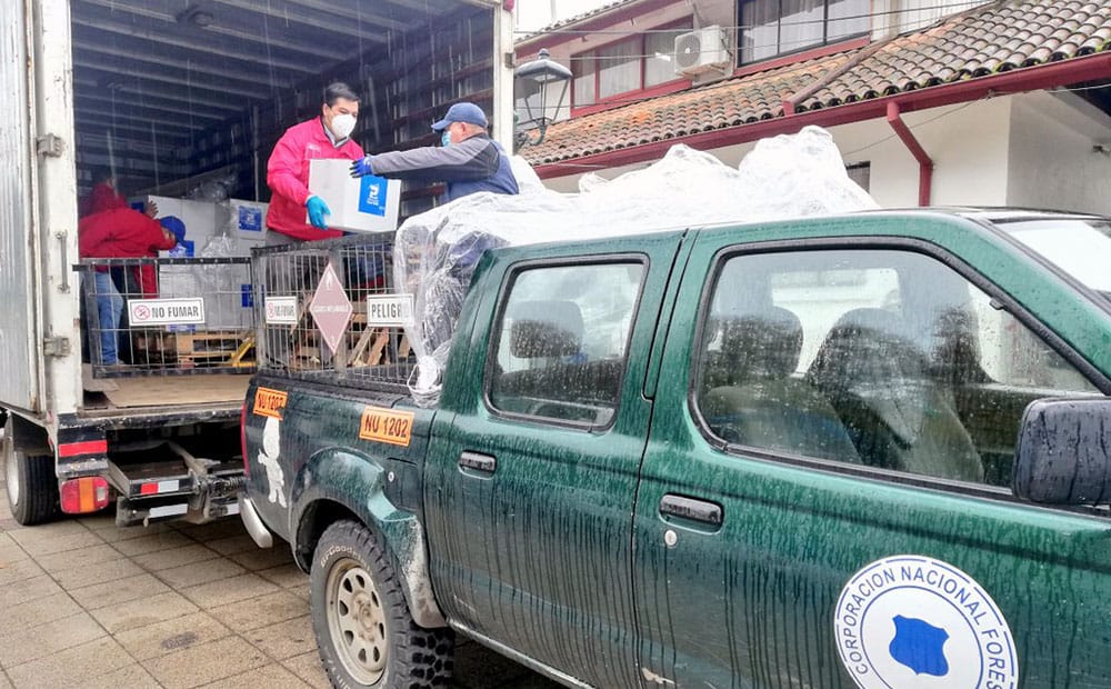 Sigue entrega de canastas de alimentos en provincia de Biobío