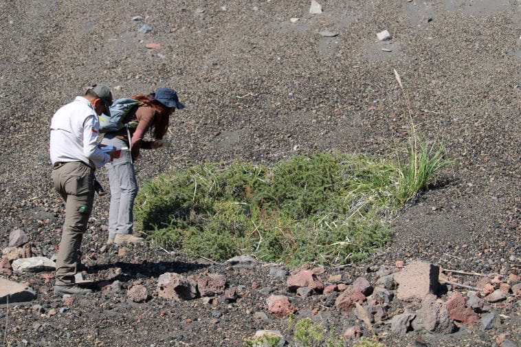 Refuerzan monitoreo de reptil en peligro de extinción en Parque Laguna del Laja