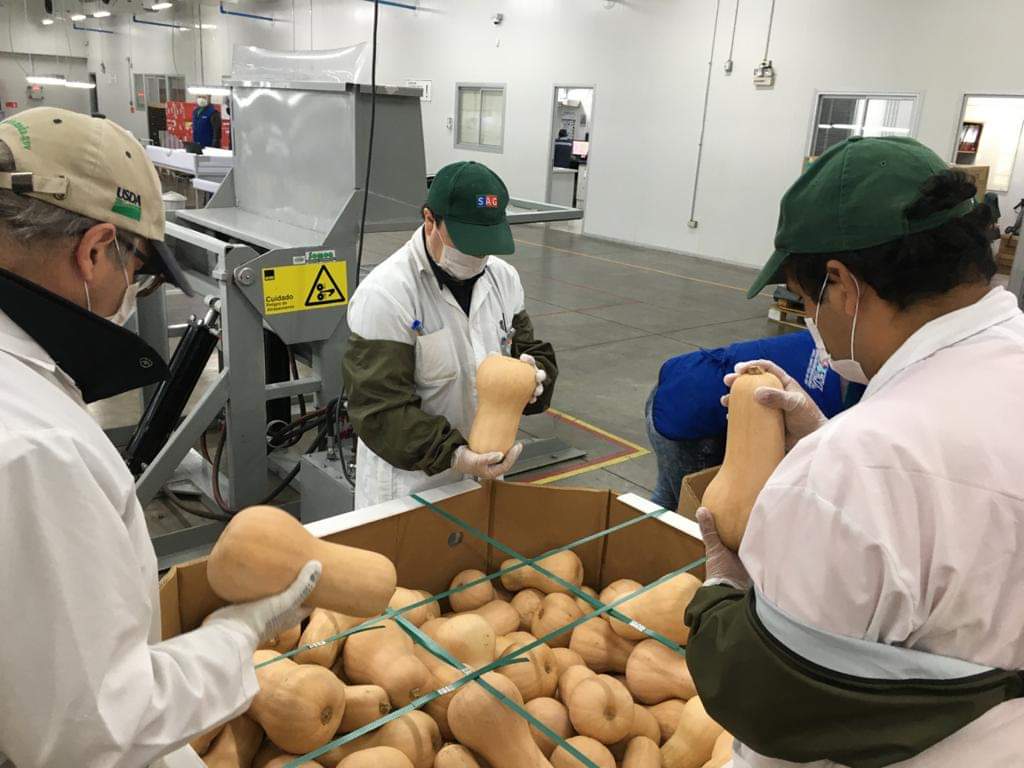 Más de 3 millones de cajas de flores y fruta inspeccionadas en Cabrero