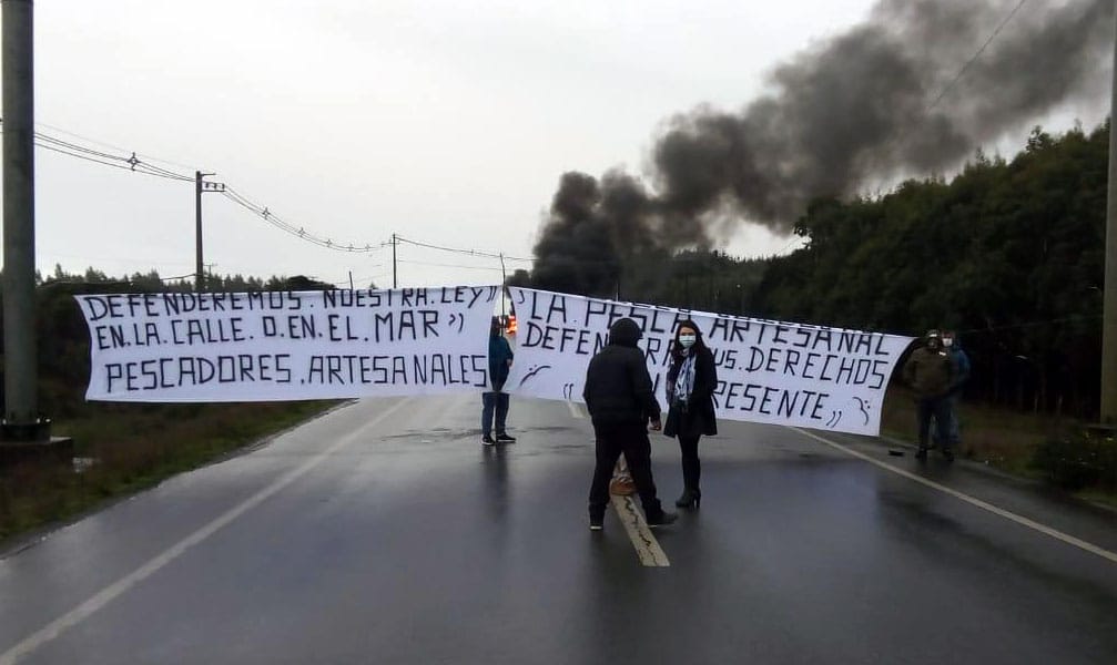 Biobío: Artesanales se plegan a protesta por la Ley de la Jibia