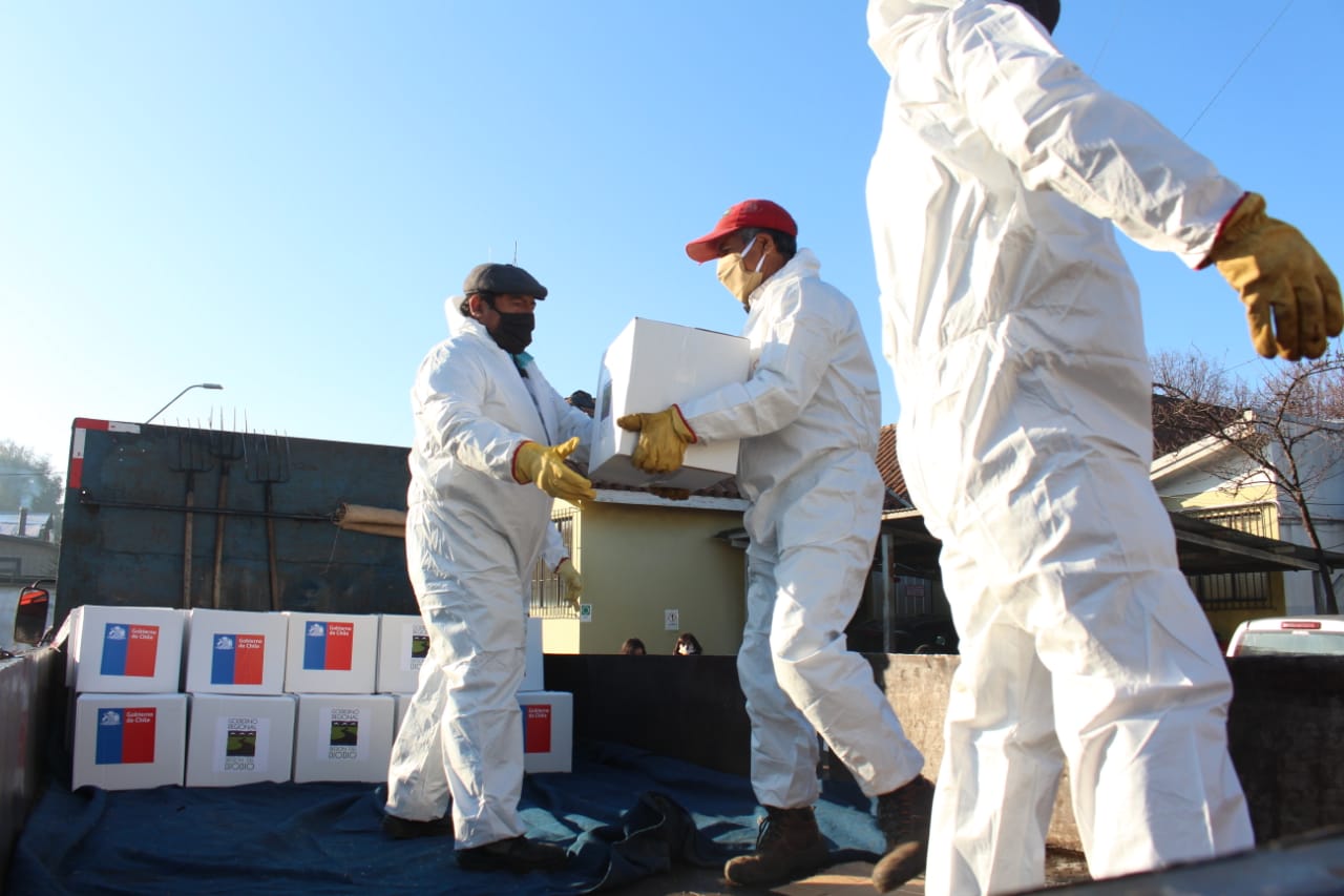 Más de 14 mil nuevas cajas de alimentos se repartirán en Provincia de Biobío