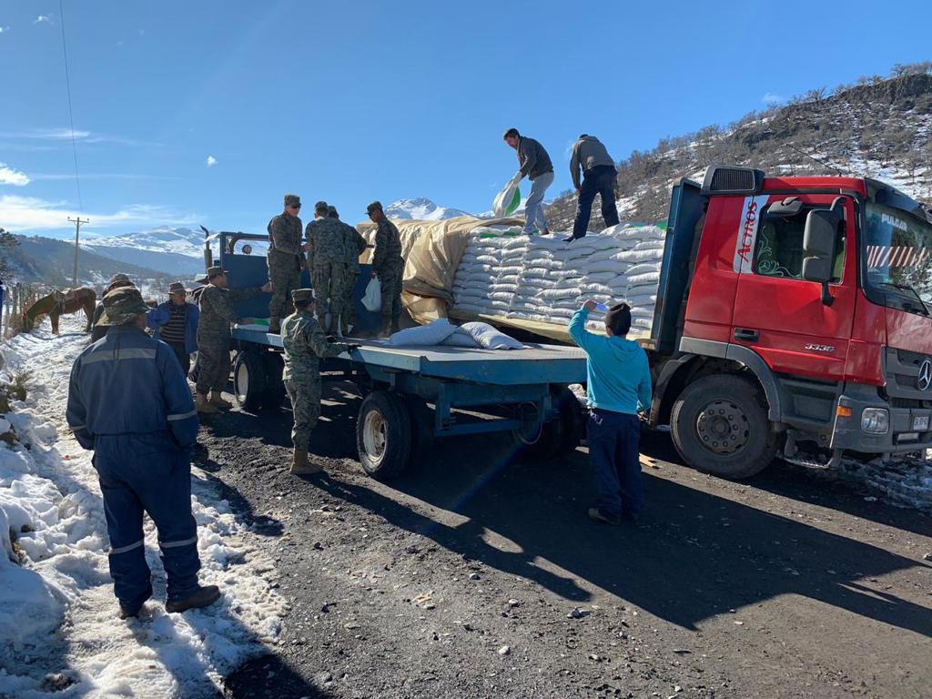 Más de 2 mil agricultores recibirán alimentos para sus animales en Alto Biobío