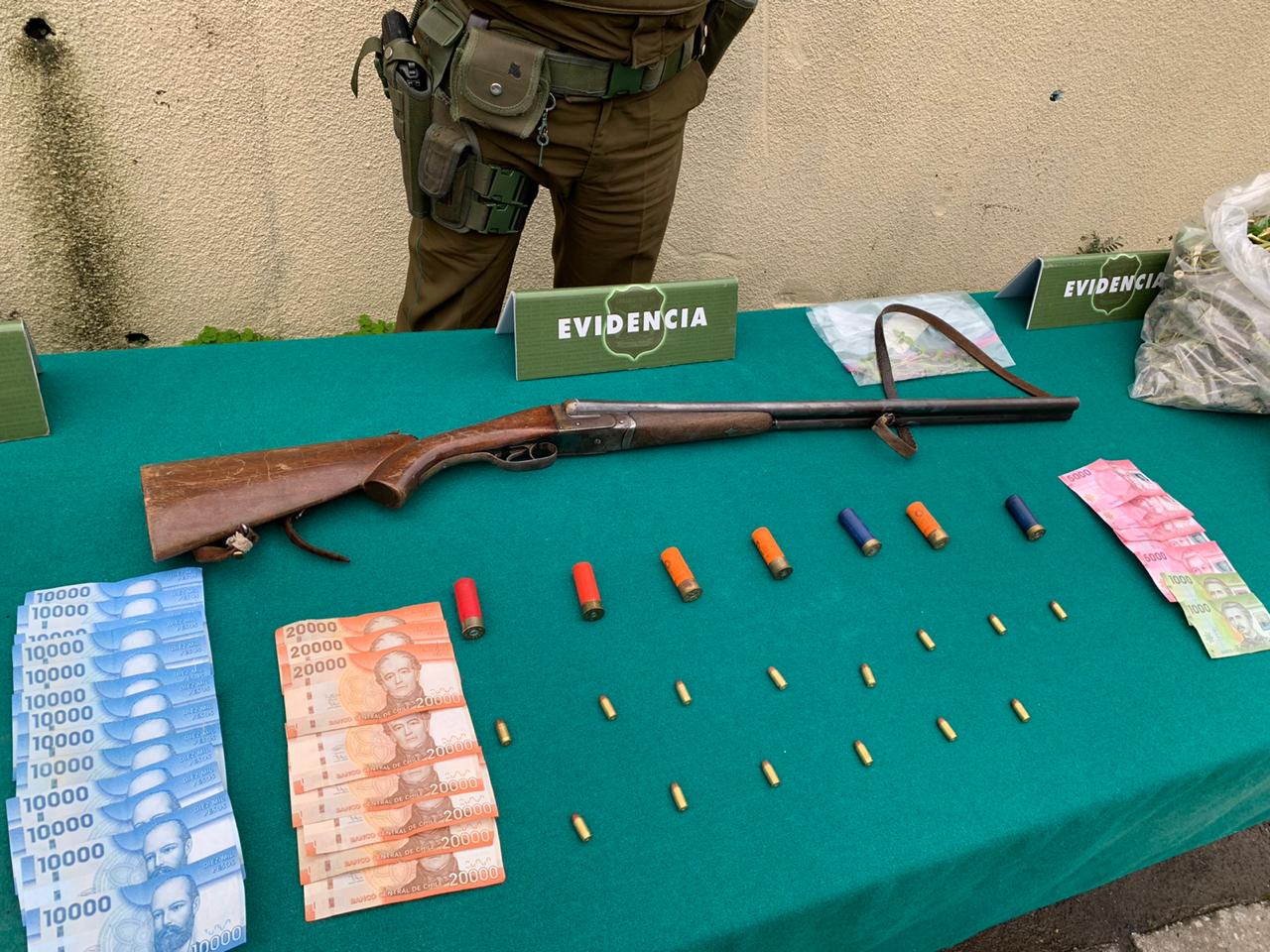Desbaratan foco de drogas en Hualpén: se incautaron más de 240 plantas de marihuana