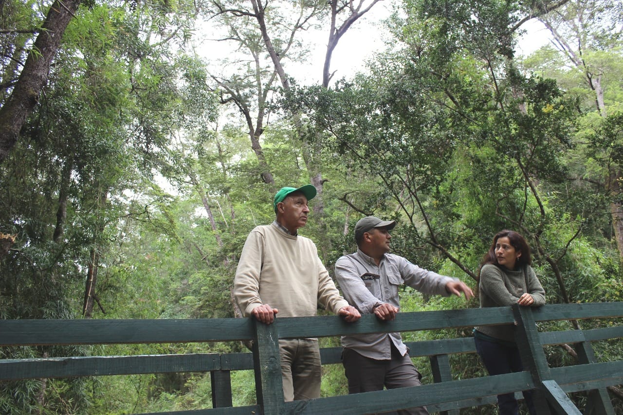 Parques y reservas del Biobío permanecerán cerrados este fin de semana largo