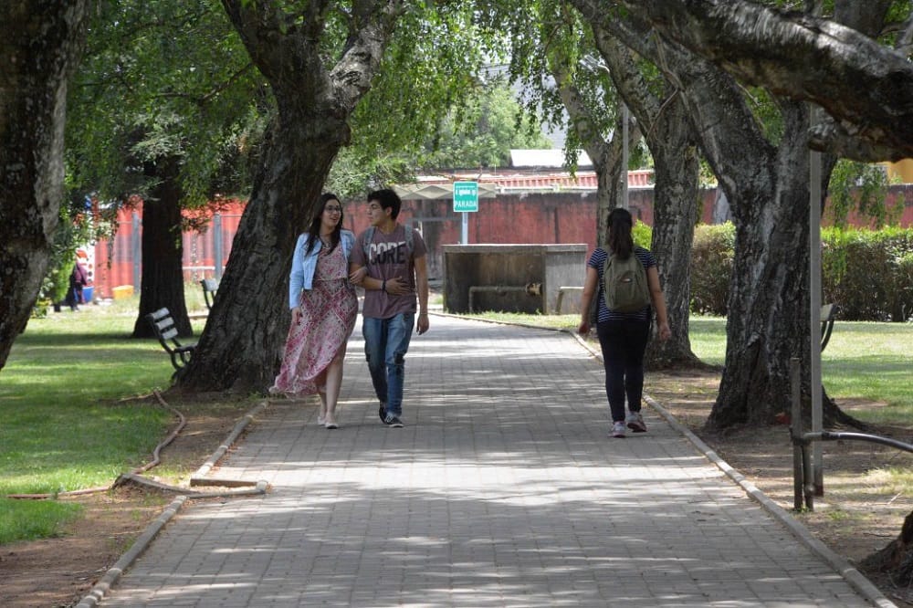 UBB decretó el uso de nombre social para personas trans en todos sus trámites
