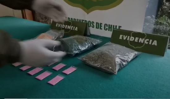 Incautan Ketamina y más de $10 millones en marihuana en Torreones de Concepción