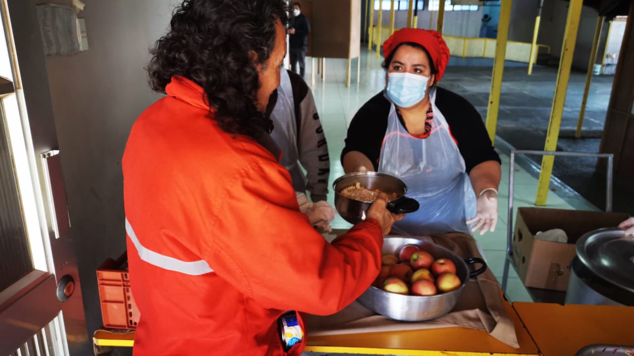 Mano generosa: Donan más de 3.000 kilos de manzana a comedores solidarios en Biobío