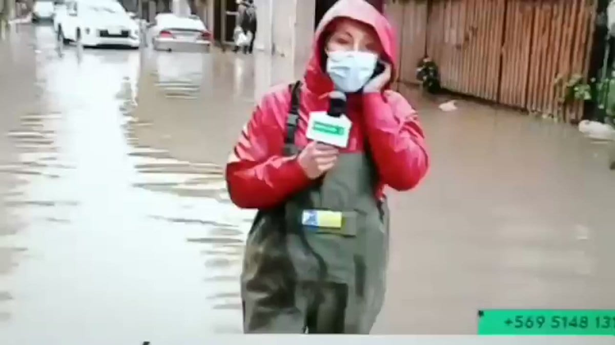 “Los pacos ya comenzaron a llegar”: Periodista aclara polémica frase en despacho en vivo