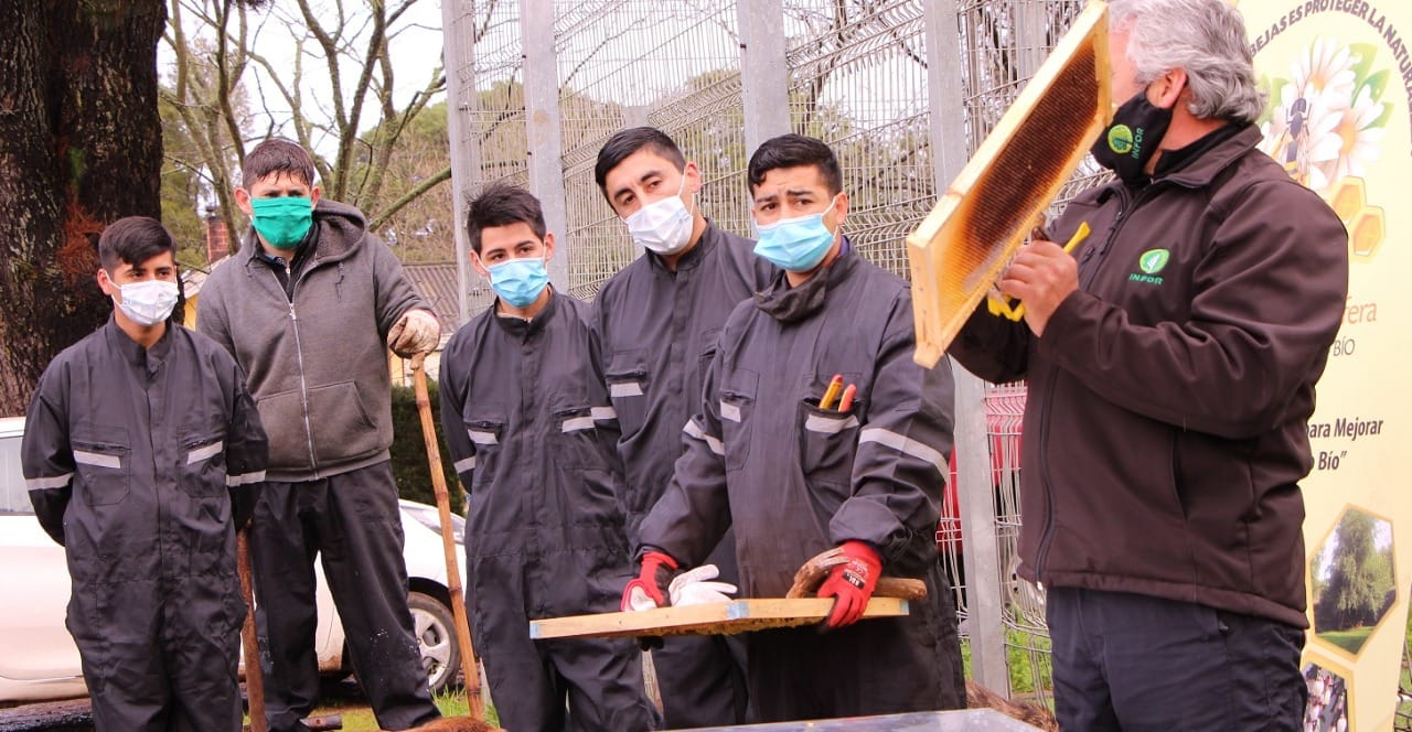 Internos de CET Punta Parra apuestan por reinserción a través de taller de rubro apícola