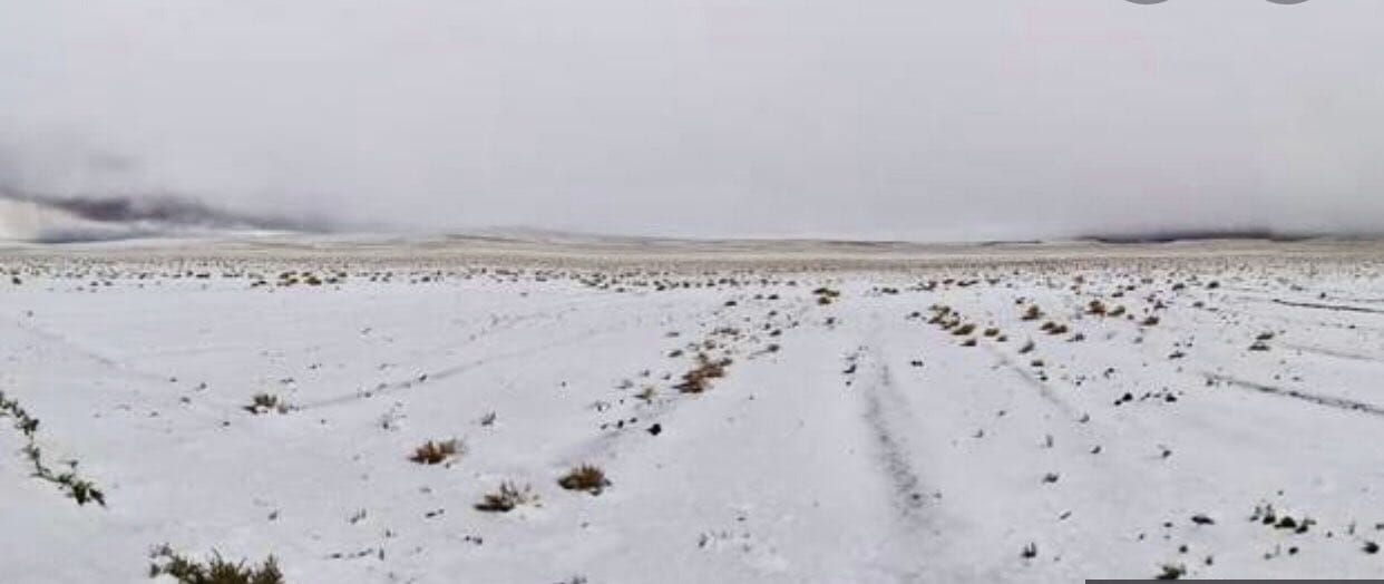 El más árido del mundo: Desierto de Atacama sorprende teñido de blanco tras nevazón