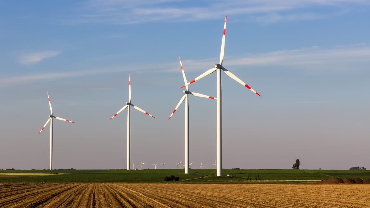 Con 800 millones de dólares en proyectos de energía renovable buscan reactivar Prov. de Biobío