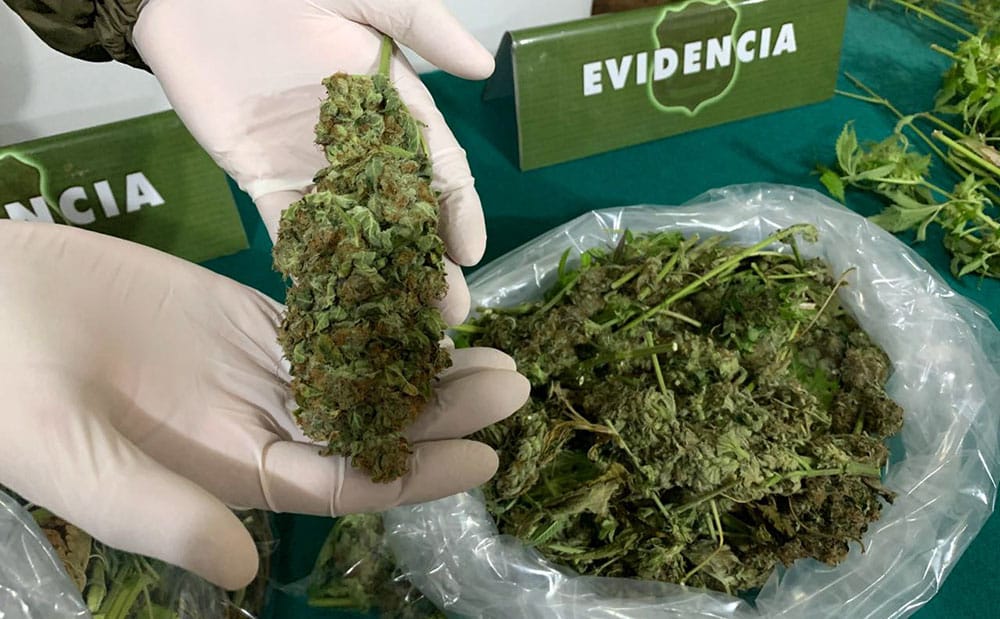 Concepción: Extranjero lanzó marihuana por la calle mientras escapaba de Carabineros