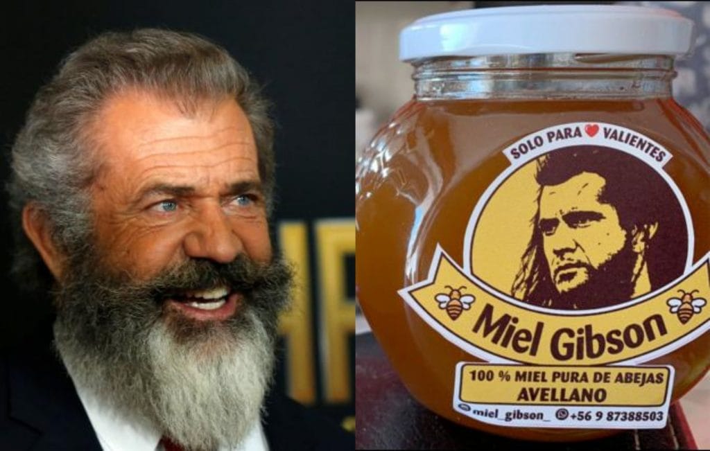 La viralización mundial de la historia de “Miel Gibson” permitió que tuviera un final feliz