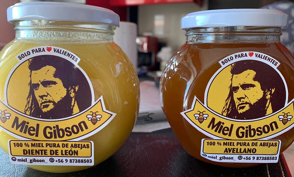 Mel Gibson amenazó a emprendedora chilena para que deje de usar su imagen en potes de miel