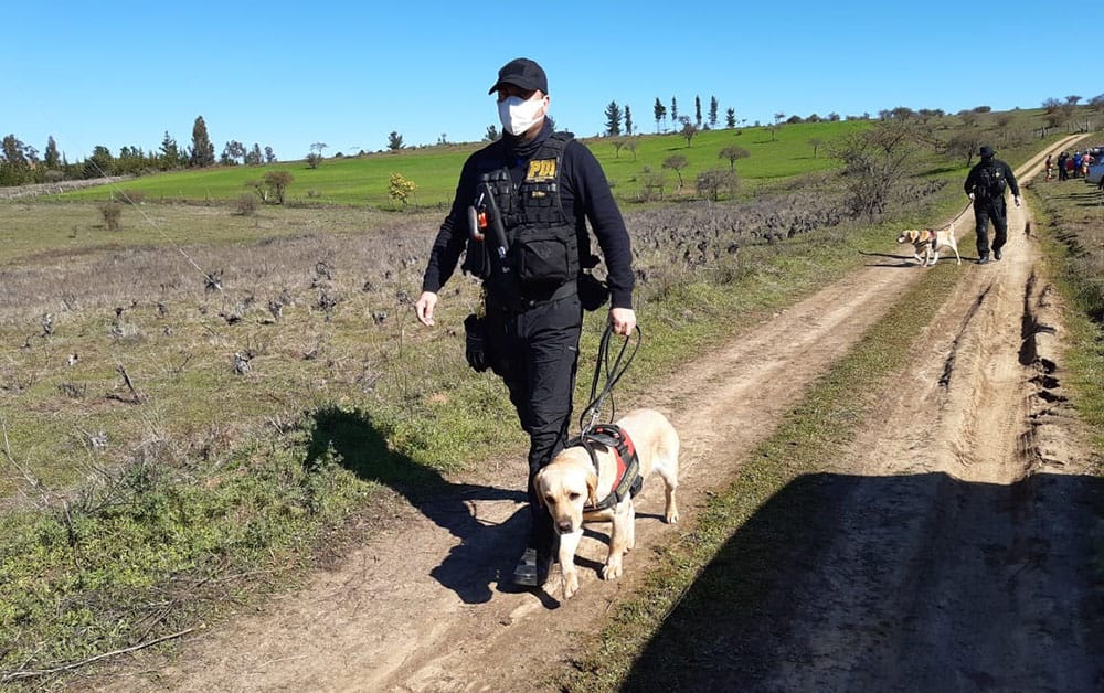 Helicóptero, perros y especialistas: así se realiza la intensa búsqueda de Carolina Fuentes