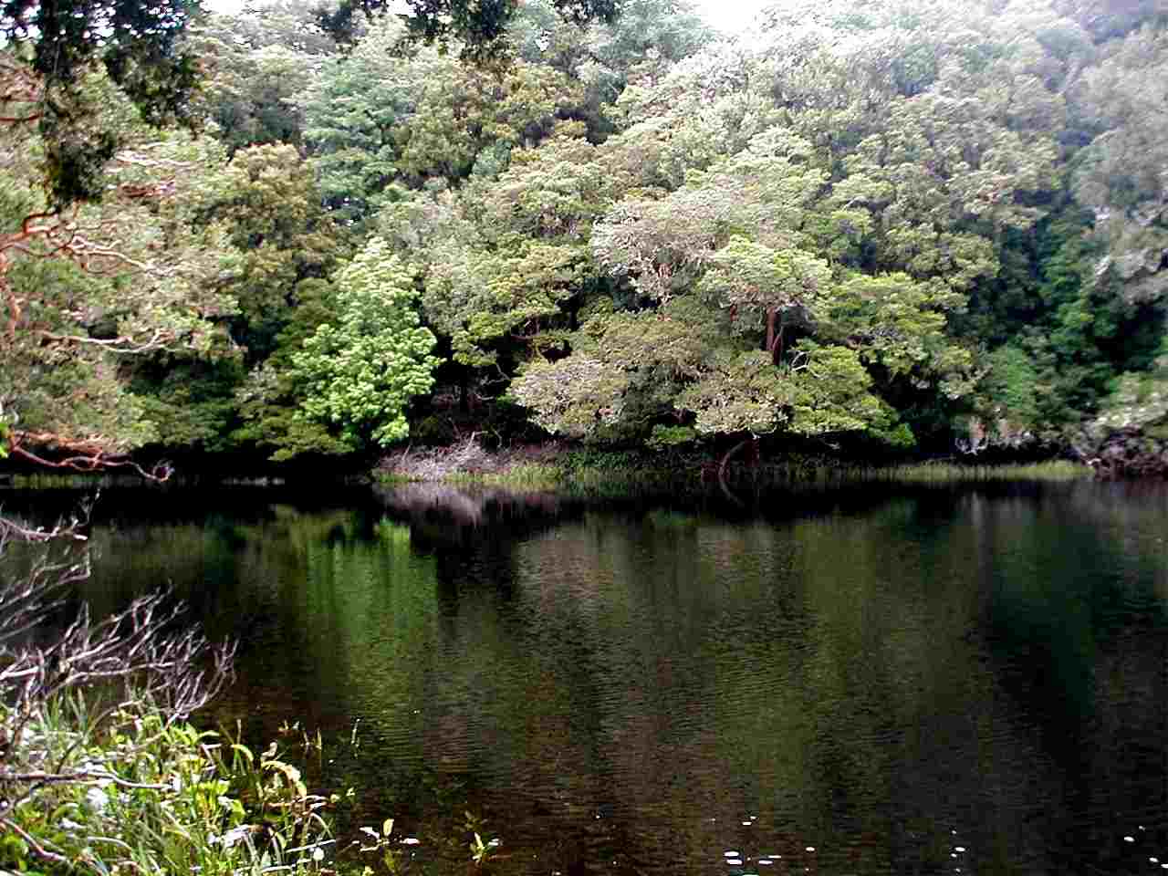 Conaf monitorea nivel de agua de humedal en la Reserva Nacional Isla Mocha