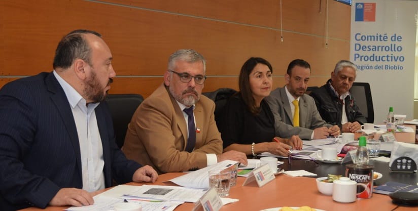 Descentralización, fomento productivo y desarrollo económico regional