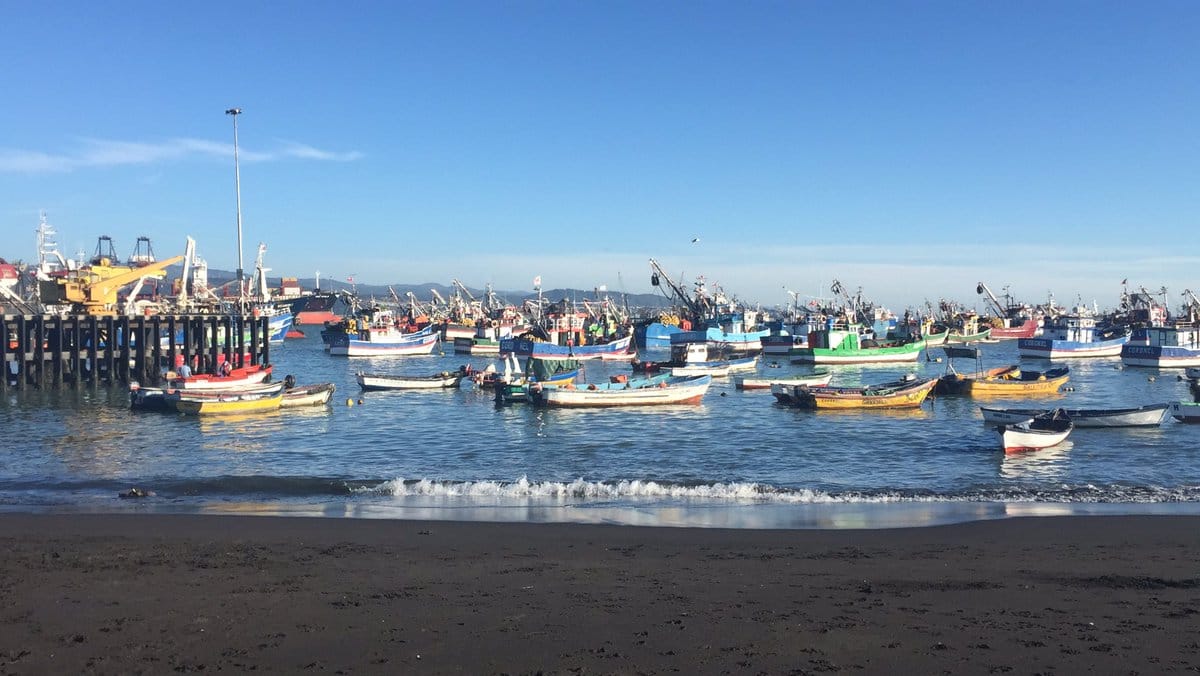 Pescador muere tras caer desde un bote en Coronel: Hallan su cuerpo en Caleta Lo Rojas