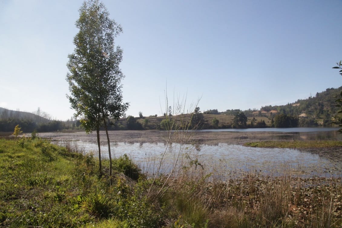 Detectan siete intervenciones a desconocida laguna de Concepción