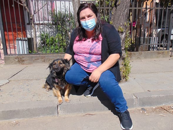 Vecinos de Laja serán beneficiados con operativo de desparasitación de mascotas