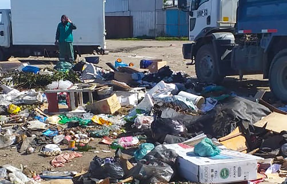 Aumentan microbasurales clandestinos en Concepción: llamado es a denunciar