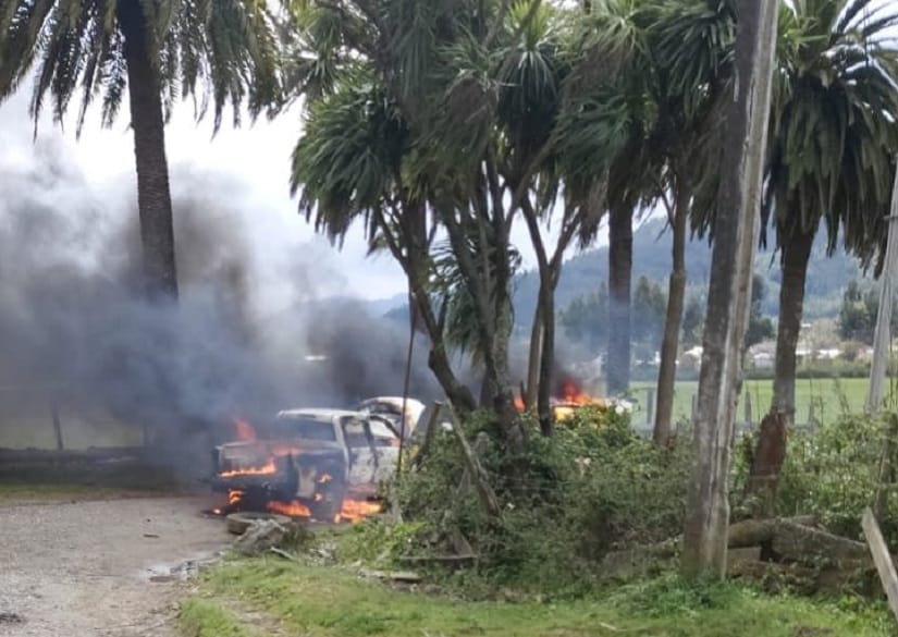 Testigo de incidente con Carabineros en Contulmo: “Desenfundan las pistolas y nos dicen que era un asalto”