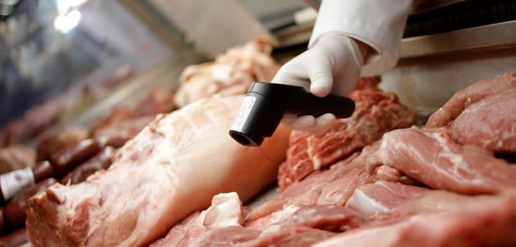 Decomisan más de 1300 kilos de carne en Biobío previo a Fiestas Patrias
