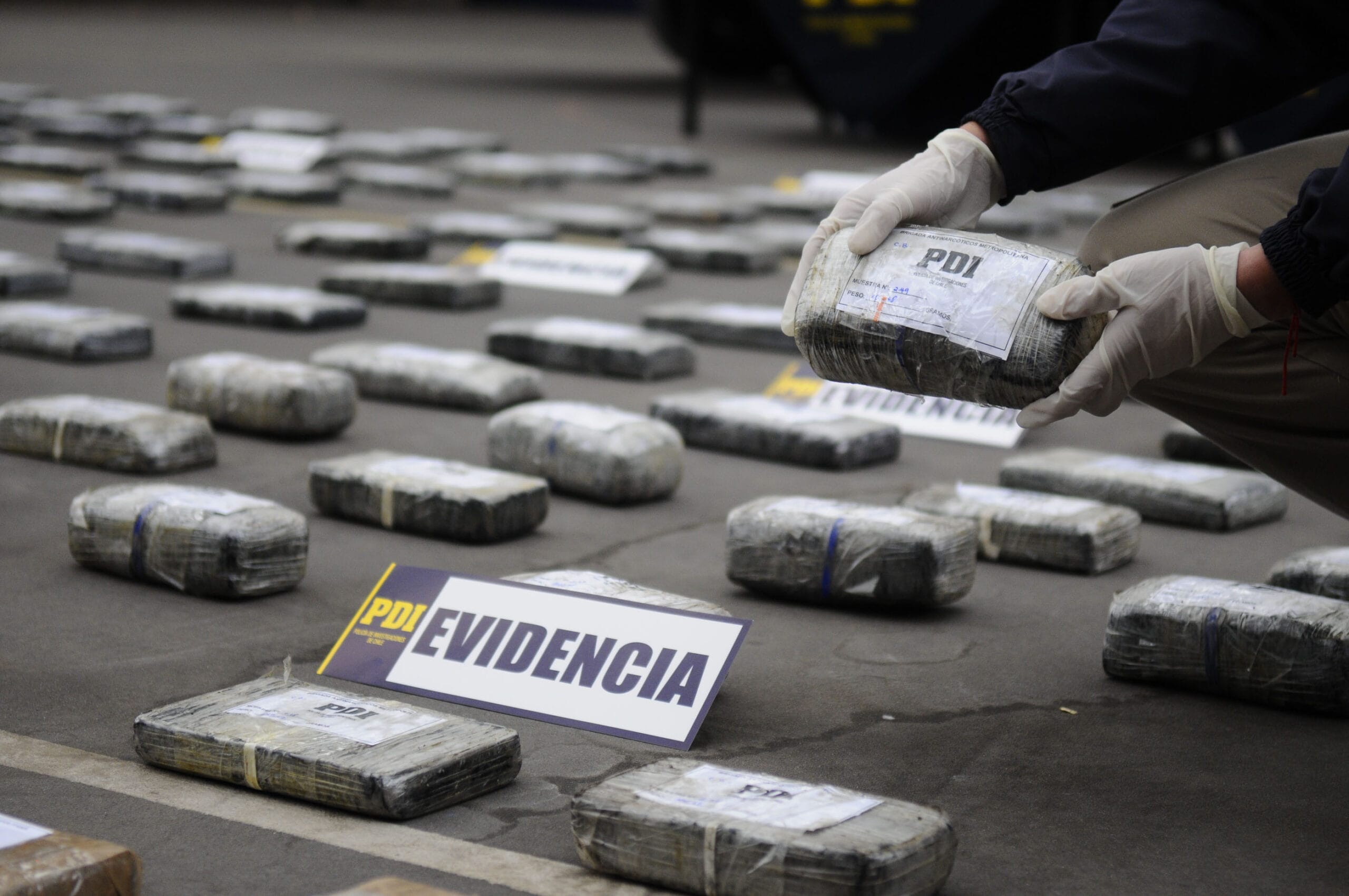 Desarticulan banda del “Pelao Boris”: Grupo comercializaba droga en la Provincia de Concepción