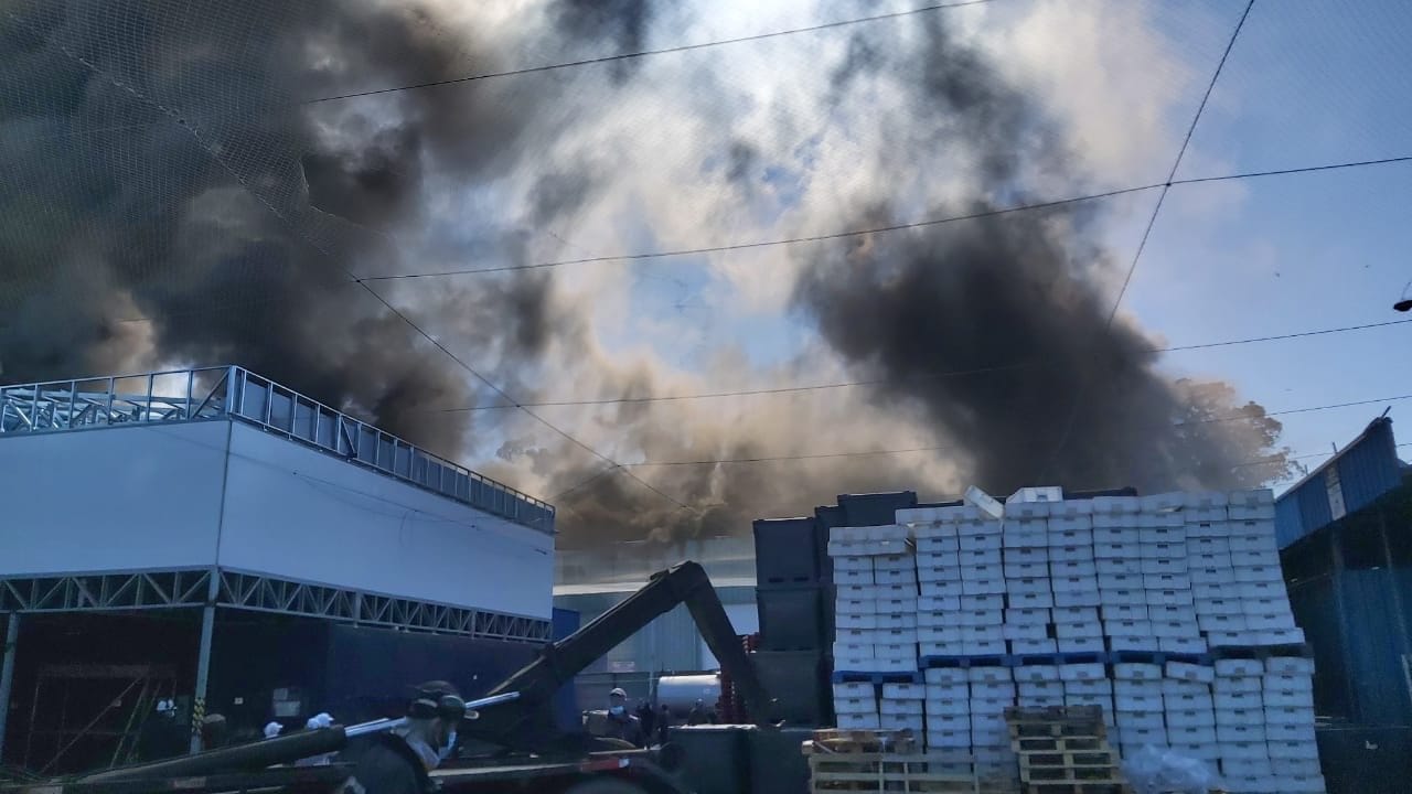 Incendio de grandes proporciones afecta a pesquera del sector Las Industrias en Talcahuano