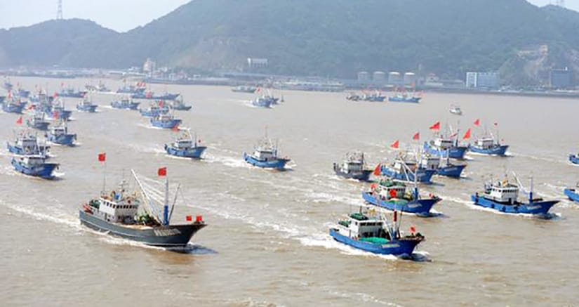 Subsecretaría de Pesca “en alerta” por arribo de flota china