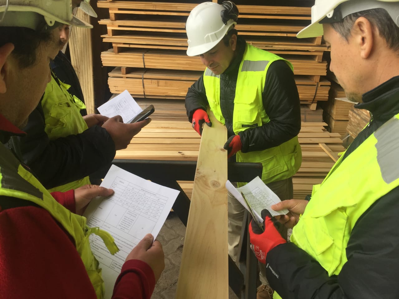 Infor presentó curso para clasificación visual estructural de la madera aserrada