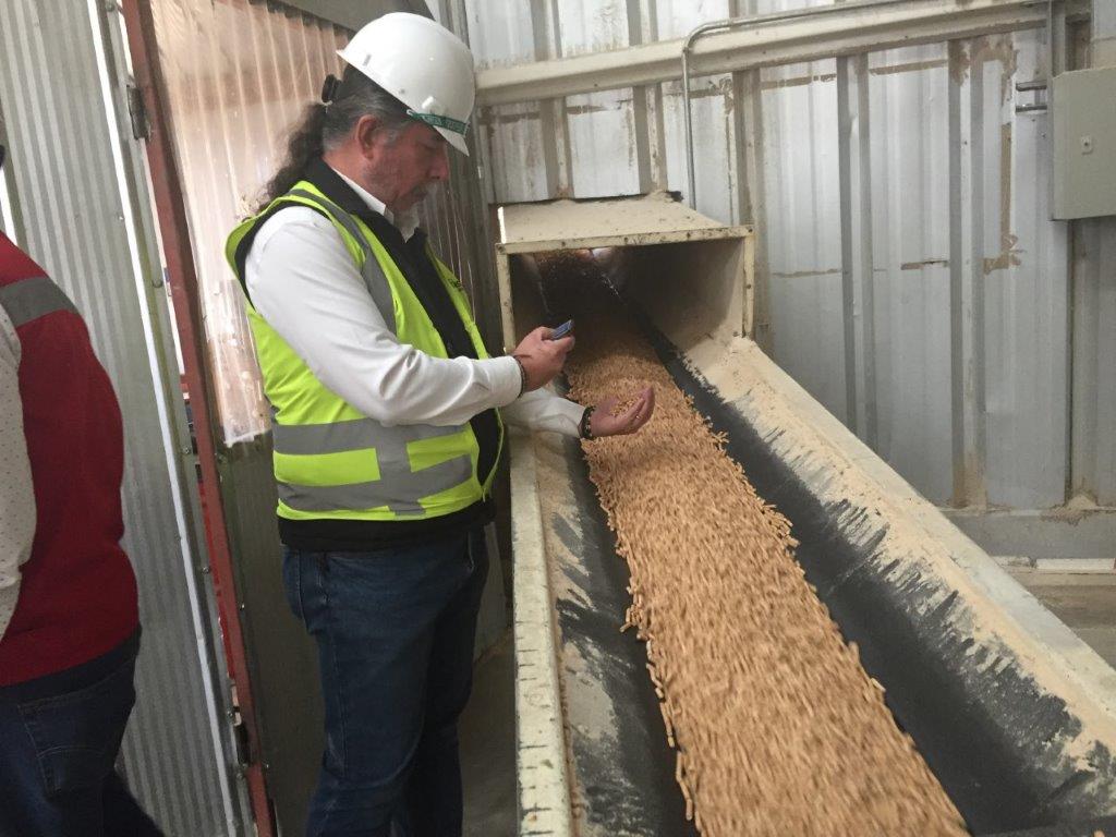 Infor entregará información para favorecer uso de pellet como energía renovable no convencional