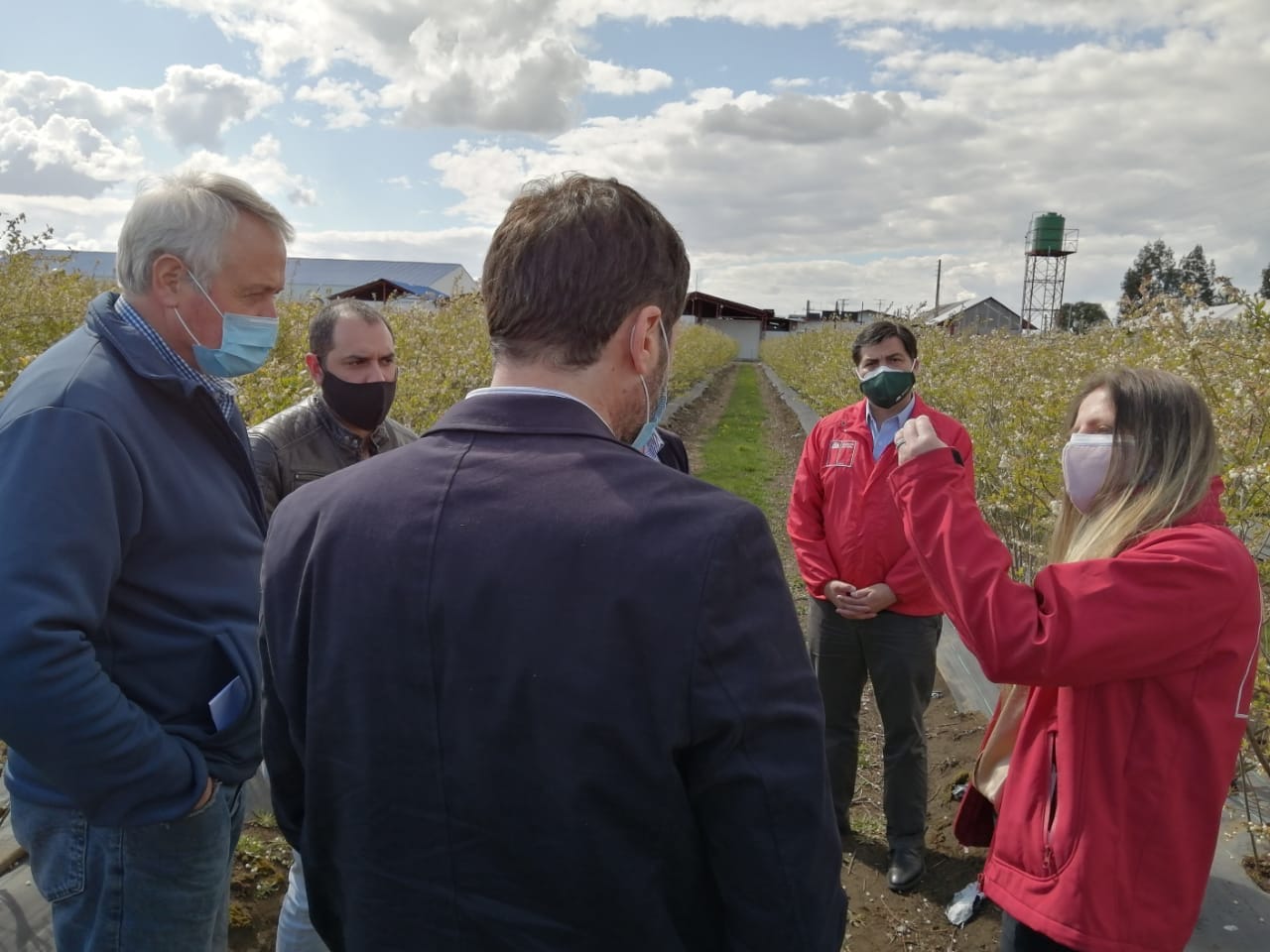 Lanzan inédita asociación gremial para potenciar industria de berries en Biobío