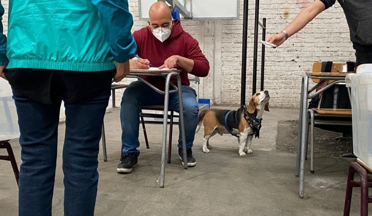Vocal de mesa asistió a local en compañía de su perrito: No lo podía dejar solo en casa