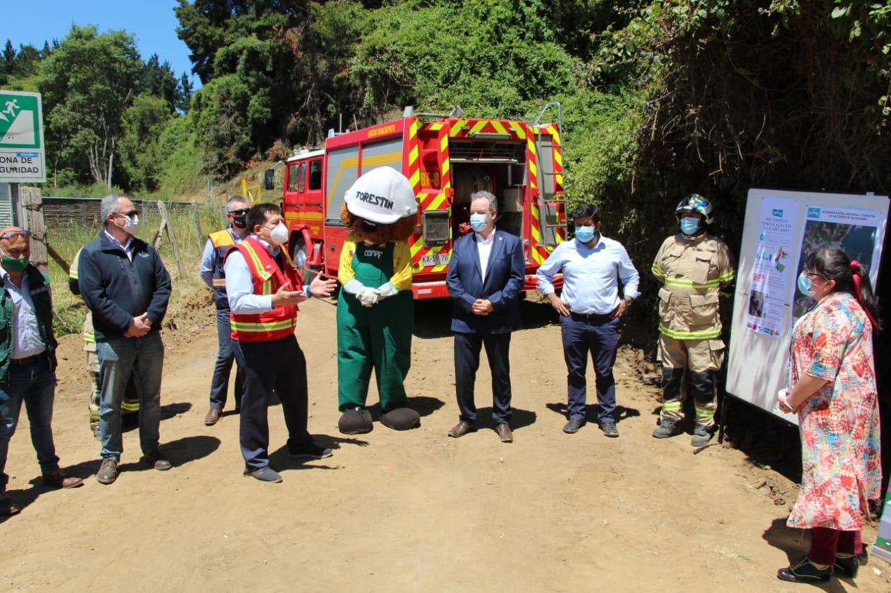 Lanzan campaña contra incendios forestales en Talcahuano: Hubo 13 siniestros en el Cerro La U en noviembre