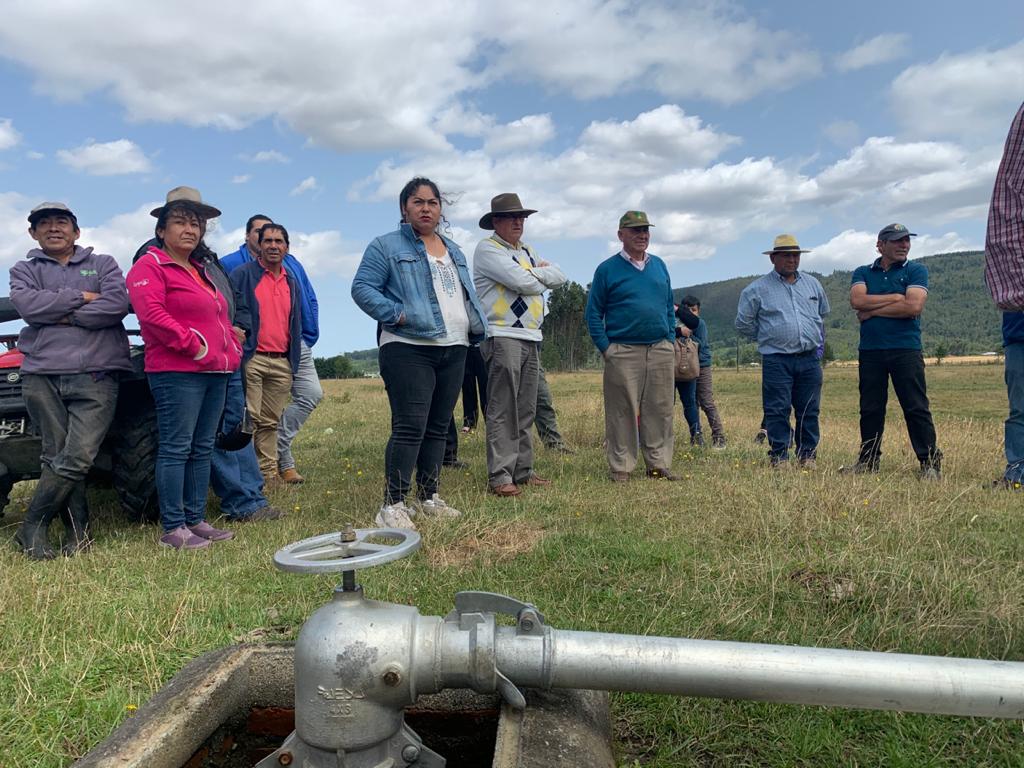 Regantes del Valle de Cayucupil finalizaron programa de capacitación y apoyo de CNR
