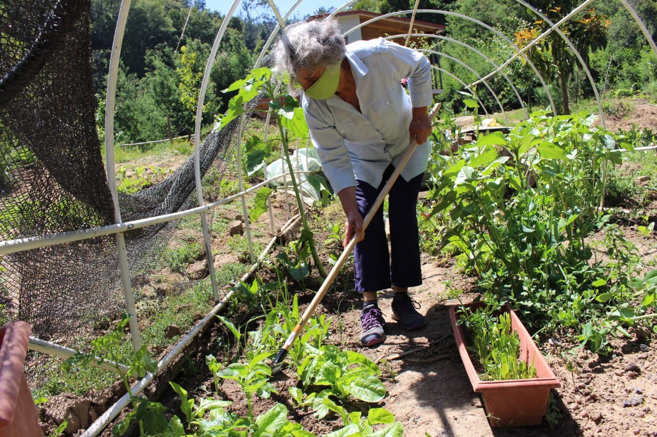 Certifican a mujeres rurales de Hualqui