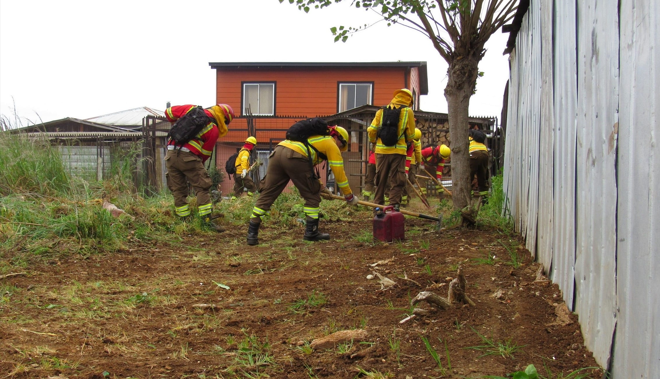 Conaf realizó construcción de cortafuegos en zona de interfaz en Cañete