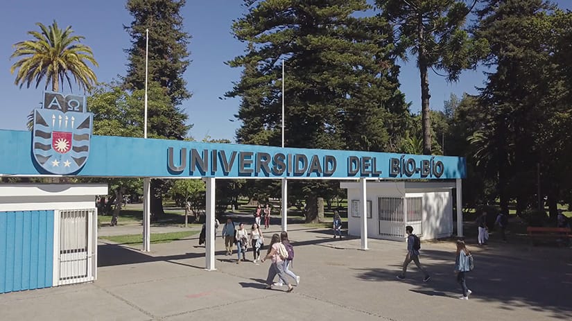 Elección de rector en la U del Bío-Bío: Umaña y Cataldo se medirán en el balotaje