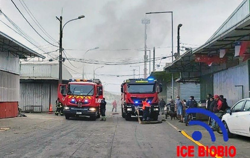 Incendio afecta a local en patio de camiones de la Vega Monumental de Concepción