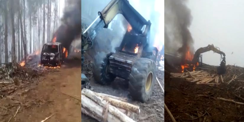 Giacaman condenó nuevo ataque incendiario en Contulmo: “Hay un grupo de violentistas, delincuentes”