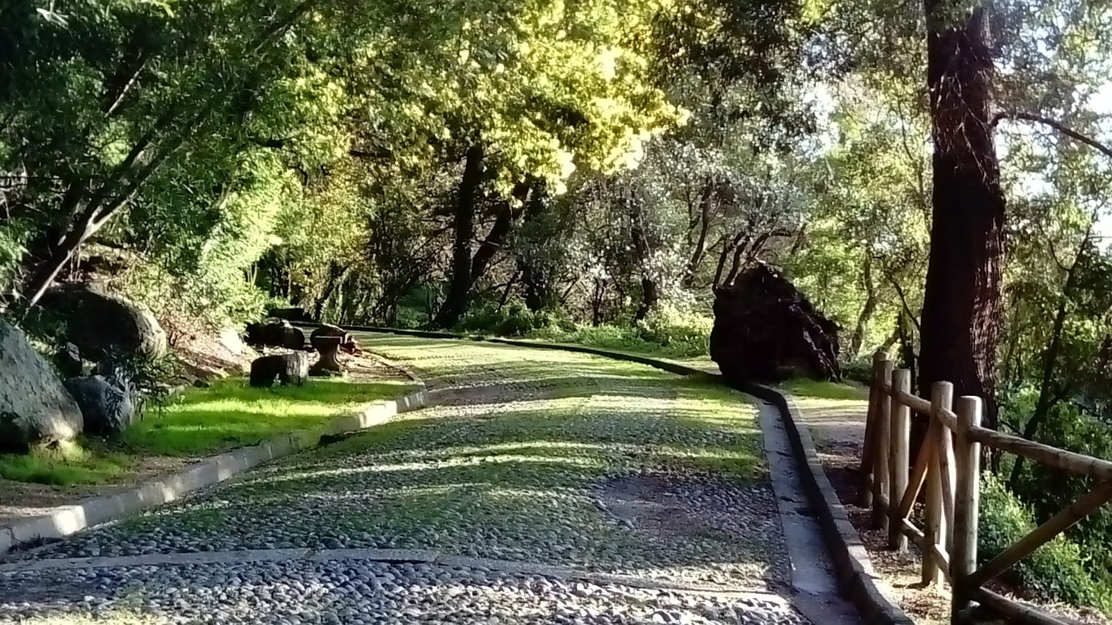 Anuncian reapertura del Cerro Caracol en Concepción: Se podrá visitar de martes a viernes