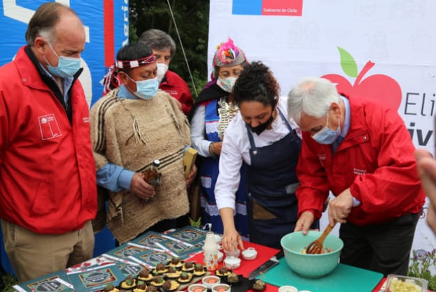 Presidente Piñera se reunió con mujeres agricultoras de pueblos originarios de la Provincia de Arauco