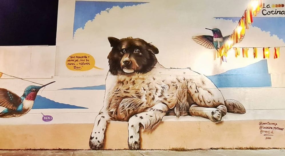 Pintan mural en homenaje a “Perrita Oveja” de Concepción: Llaman a la tenencia responsable de mascotas