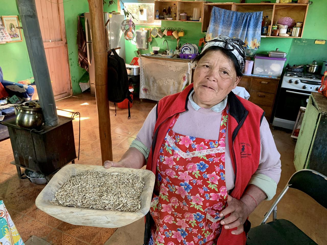 Productores del Programa Indígena de Indap en Alto Biobío se suman al rescate del patrimonio agrícola