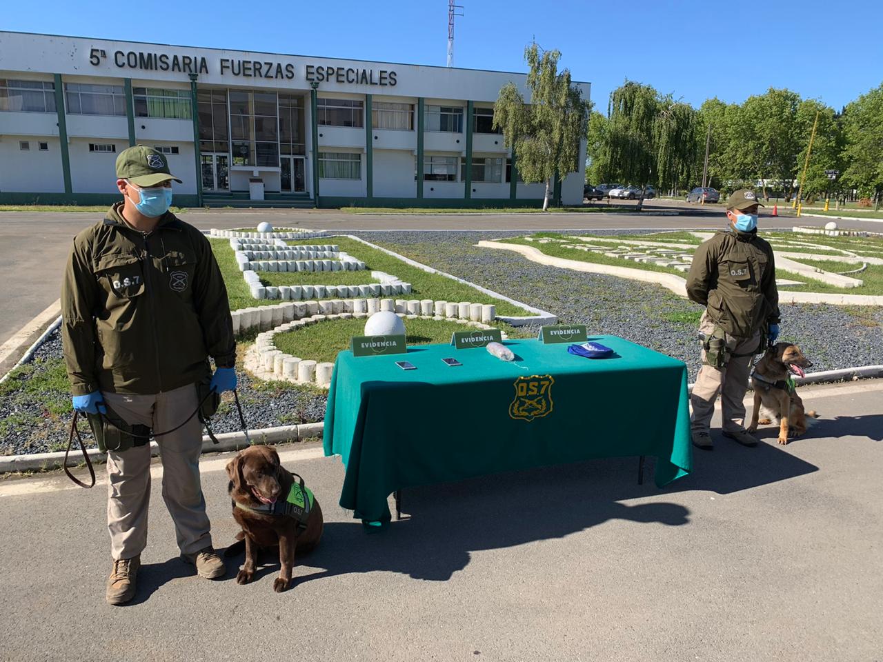 Canes de Carabineros detectaron más de 50 mil dosis de drogas durante este año en Biobío