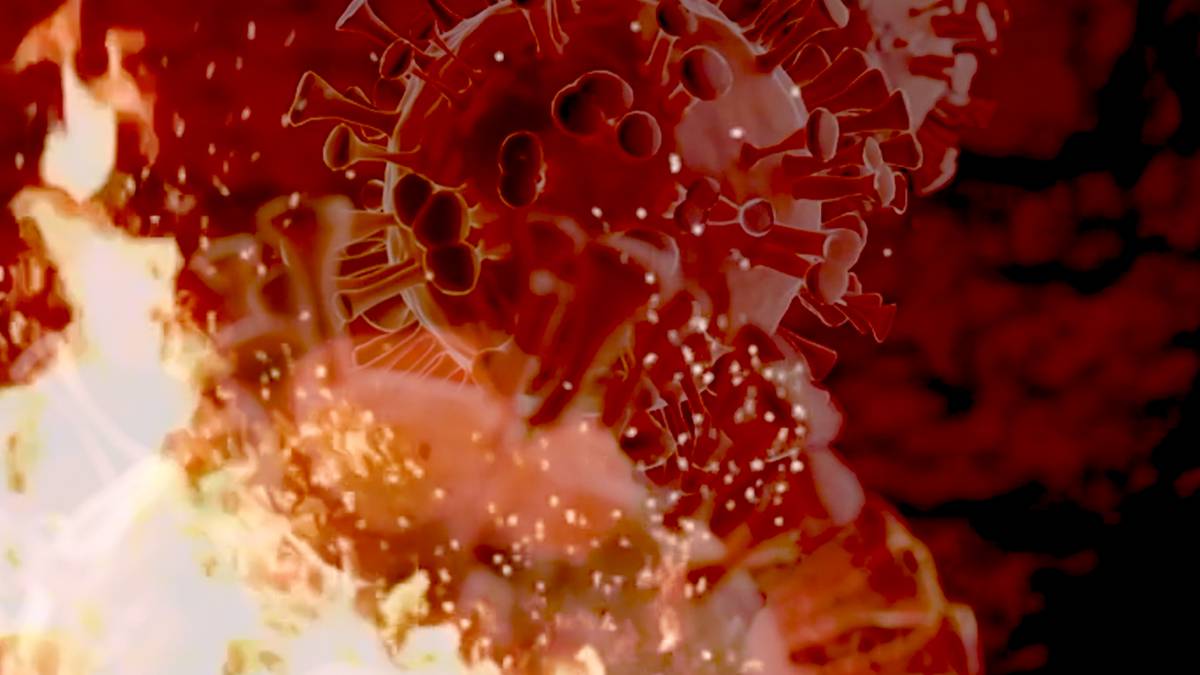 Gobierno informó el primer caso en Chile de la nueva cepa británica del coronavirus