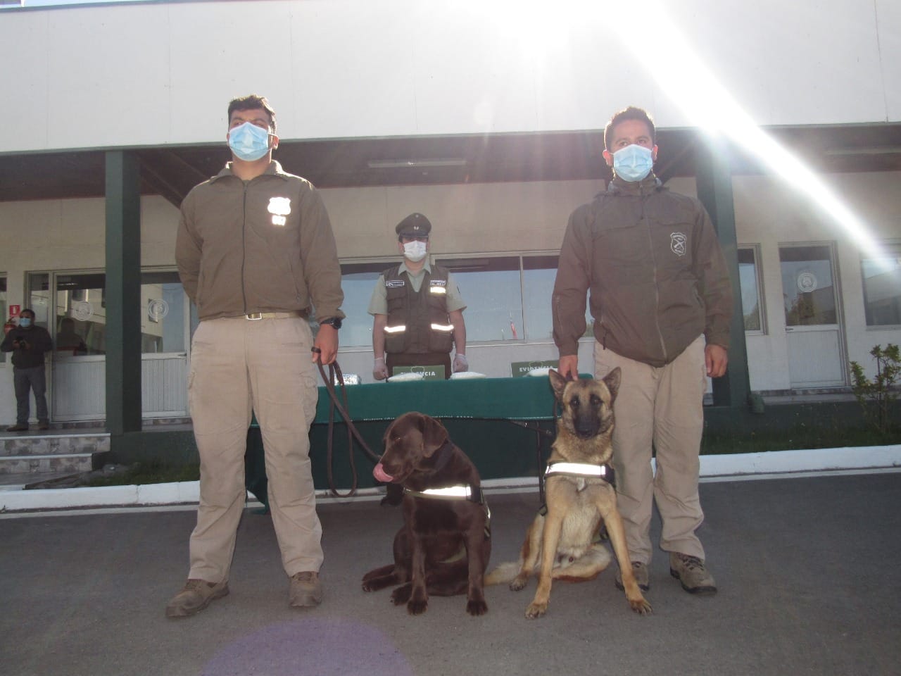 Canes de Carabineros detectan 20 mil dosis de droga en bus rumbo a Lota