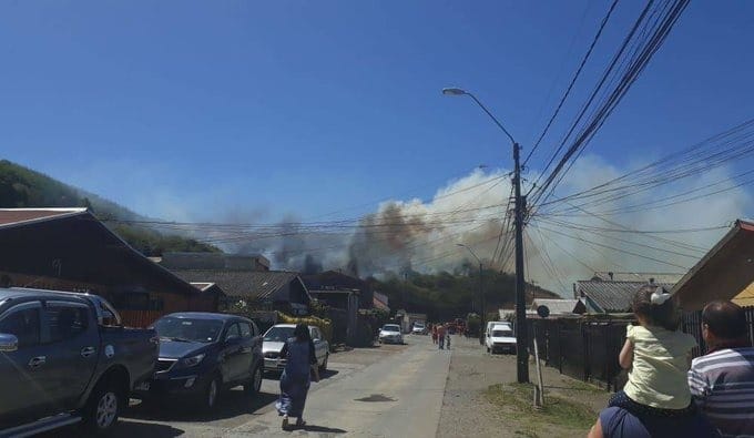 Incendio forestal consume Cerro Macera de Talcahuano y amenaza a vivienda