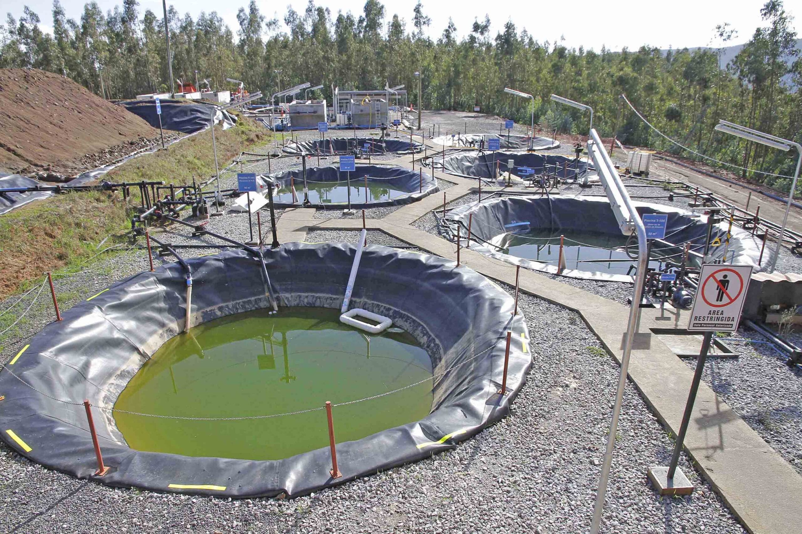 Se retrasa proyecto minero de “tierras raras” en Penco: SEA ordena nueva participación ciudadana